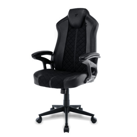 เก้าอี้เกมมิ่ง TTRacing Duo V4 หนัง PU สี Stealth_3